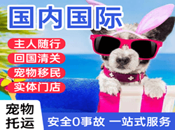 海西花土沟国际宠物托运 【国